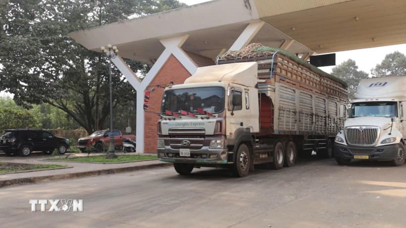 Tạm dừng áp dụng Nghị định số 46 về an toàn thực phẩm đến hết ngày 15/4