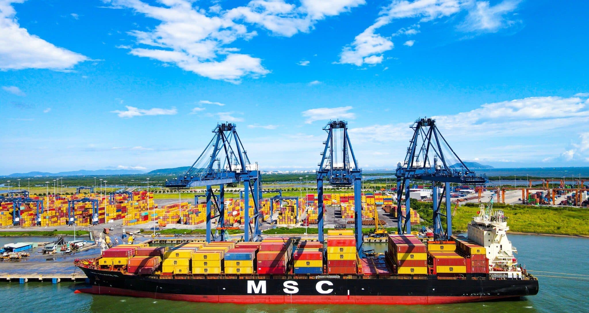 MSC được giới thiệu đầu tư bến cảng ở Cần Thơ