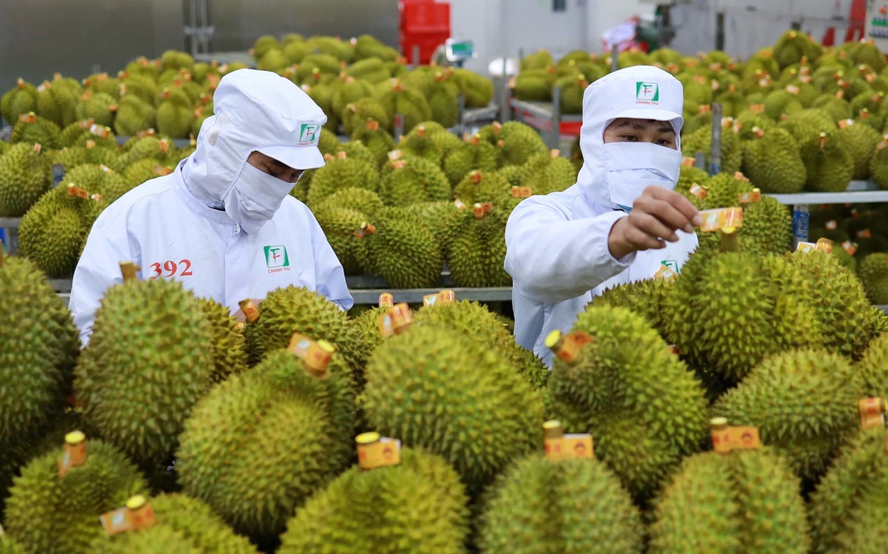 Xuất nhập khẩu hàng hoá 11 tháng năm 2024 đạt 715,55 tỷ USD