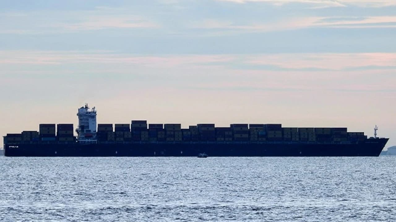 Thị trường cho thuê tàu container vẫn duy trì đà tăng trưởng