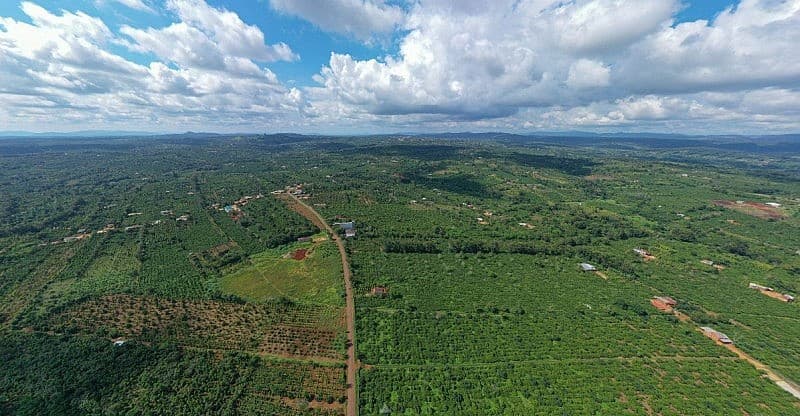 Lô cà phê đặc sản đầu tiên chuẩn bị được xuất khẩu sang thị trường Nhật Bản